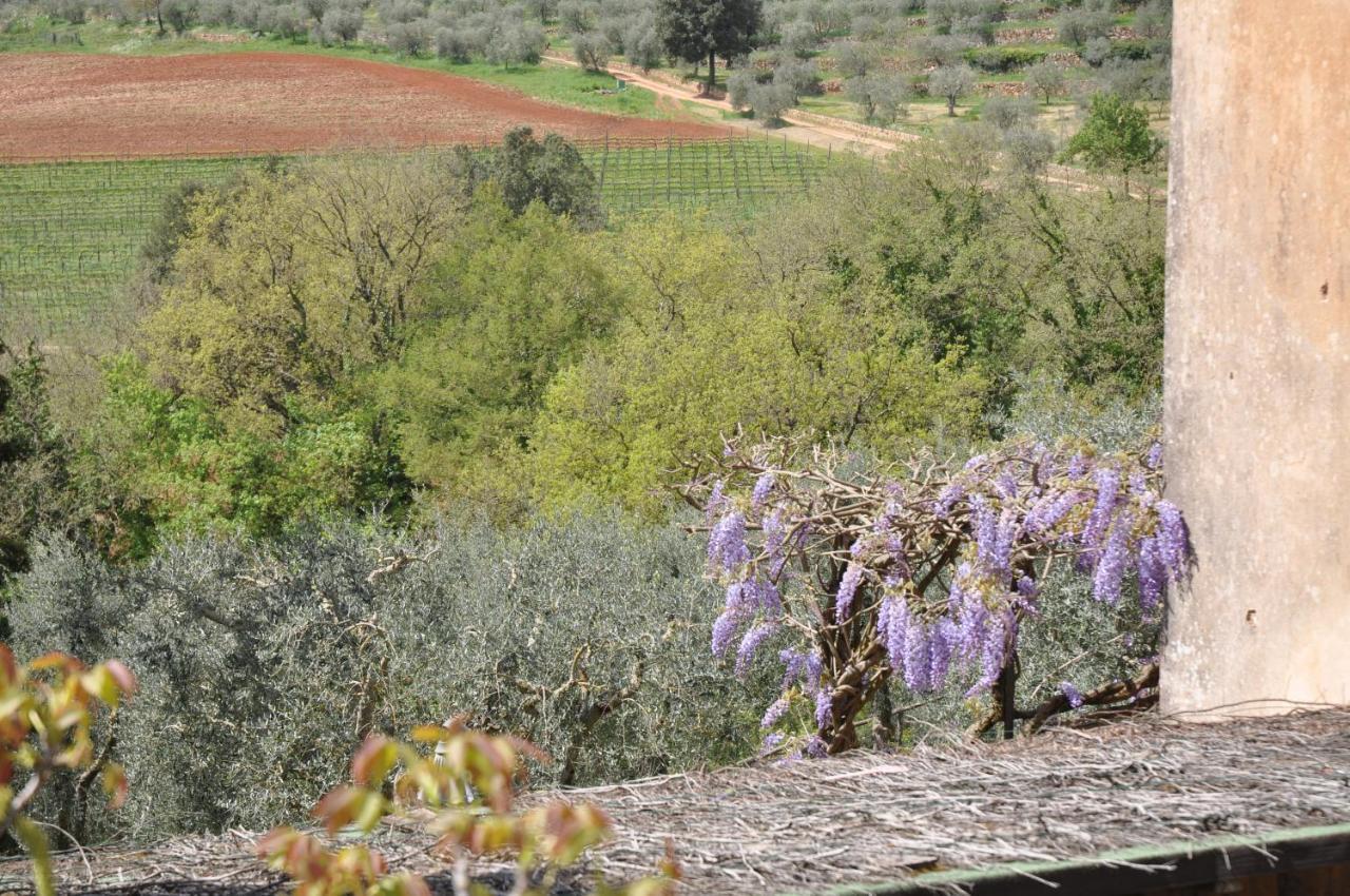 Il Pero Di Cetinale Βίλα Sovicille Εξωτερικό φωτογραφία