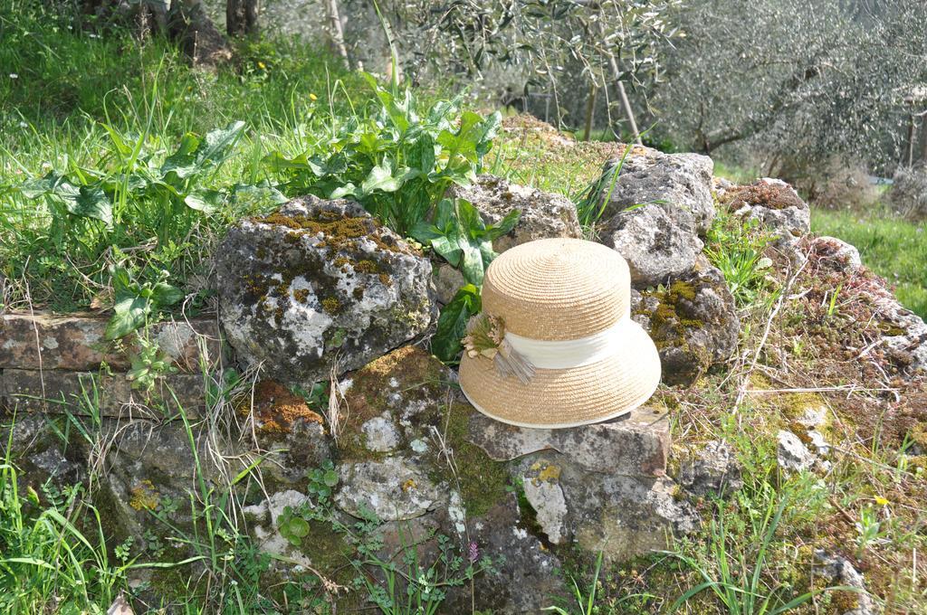 Il Pero Di Cetinale Βίλα Sovicille Εξωτερικό φωτογραφία