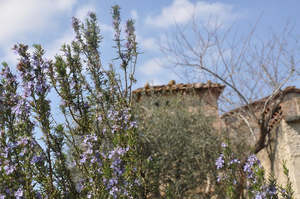 Il Pero Di Cetinale Βίλα Sovicille Εξωτερικό φωτογραφία